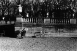 Jardin du Luxembourg